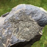 Stromatocystites pentagularis